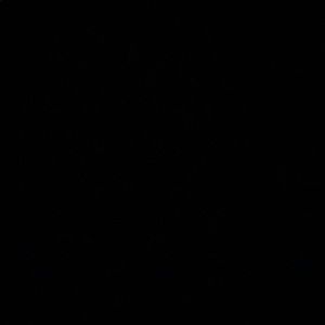 Meet your Posher, Lina